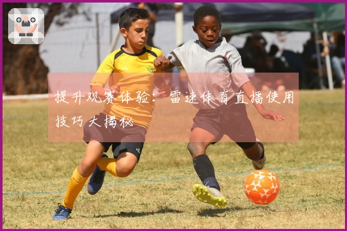提升观赛体验：雷速体育直播使用技巧大揭秘